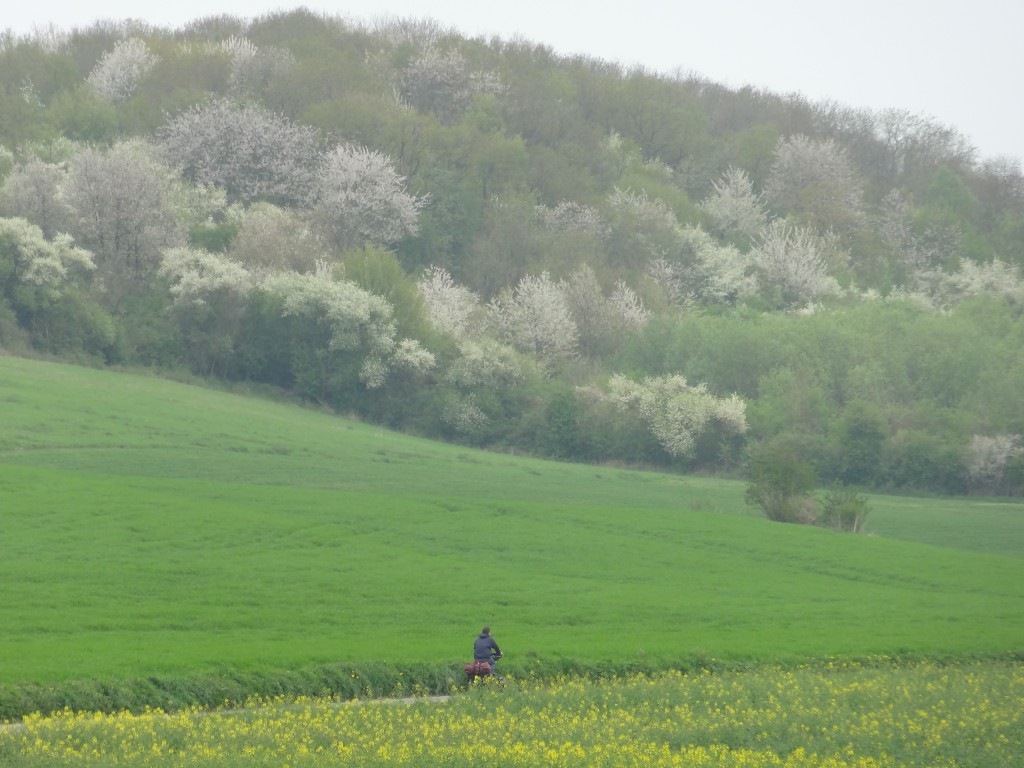 La voie verte